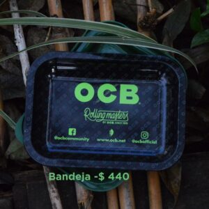 Bandejas OCB
