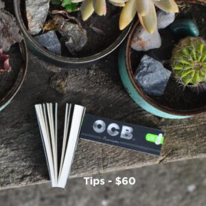 Tips OCB