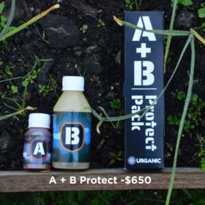 A+B Protect 250ml
