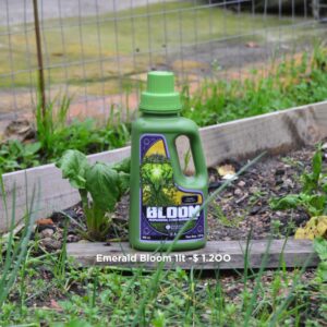 Emerald Bloom 1L