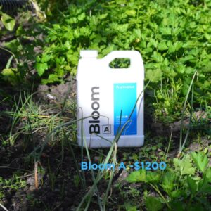 Athena Bloom A 1lt