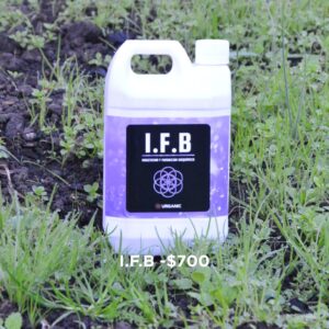 I.F.B 1l