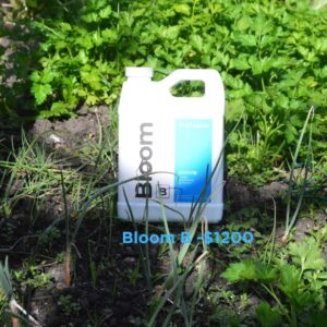 Athena Bloom B 1lt