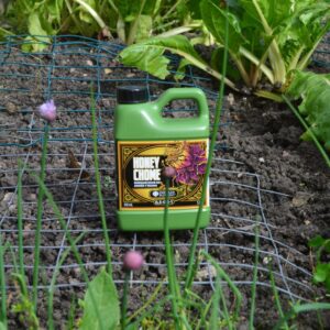 Emerald Honey Chome