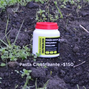 Pasta Cicatrizante