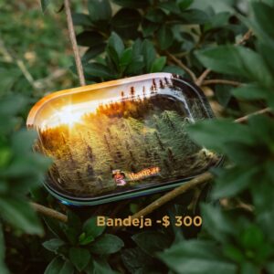 Bandeja de Armado
