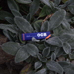 Hojillas Ocb Ultimate slim + tips