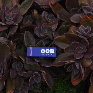 Hojillas OCB Ultimate 1, 1/4