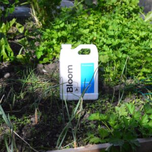 Athena Bloom A 1lt