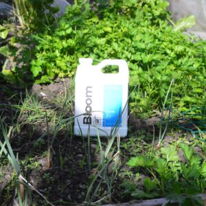 Athena Bloom B 1lt